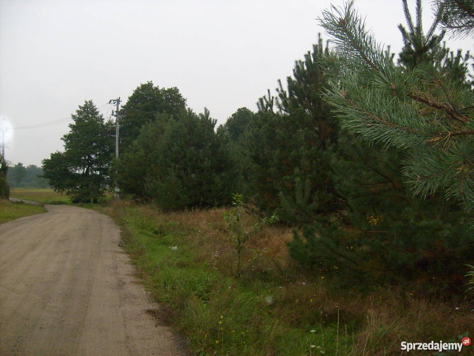 Nowy Bliżniak z dużą działką Legionowo bliźniak Legionowo