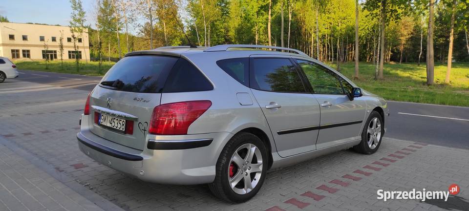 PEUGEOT 407 SKÓRY JBL śląskie Orzesze