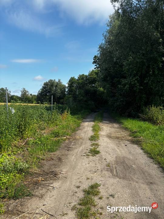 DZIAŁKA ROLNA SIEDLISKOWA ŚWIELUBIE GMINA DYGOWO