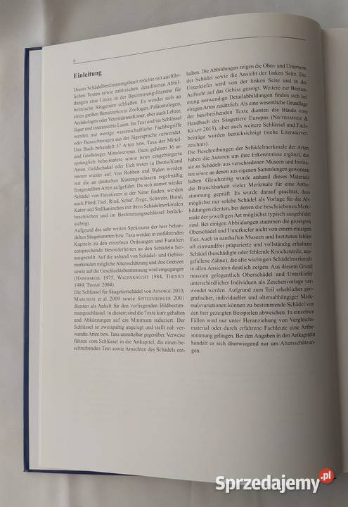 MITTEL und GROSSSUGER biologia, ekologia Hajnówka sprzedam