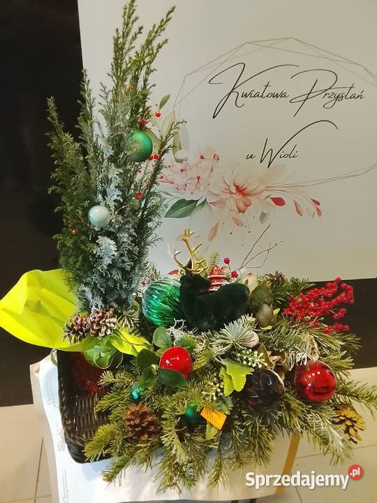 Stroiki bożonarodzeniowe mazowieckie Mroków-Kolonia