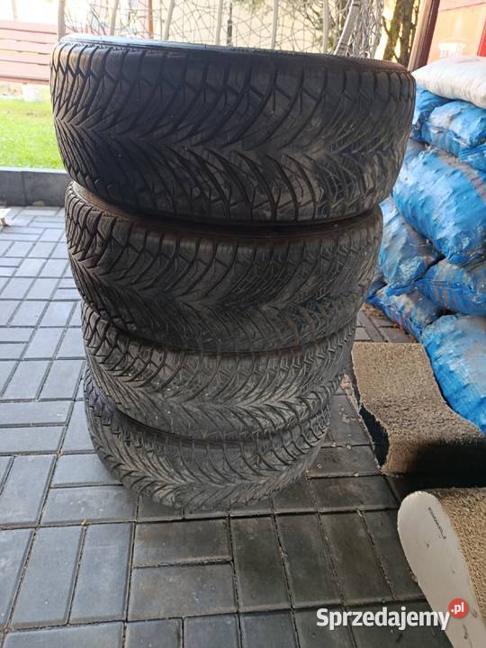 4x Opony Całoroczne Austone SP401 20555R16 2025r Rudziniec