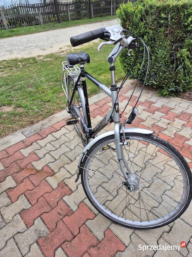 Rower męski batavus Żodyń