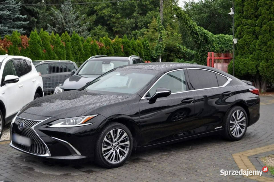 Lexus ES300 LEXUS ES 300h Hybryd Business ASR (kontrola trakcji) Warszawa
