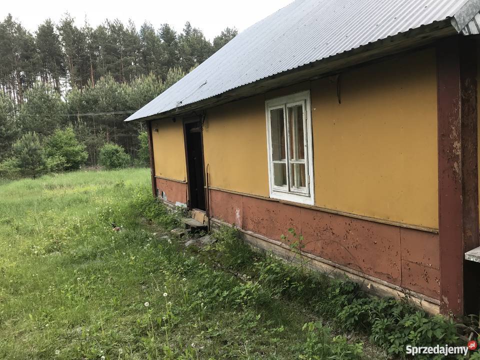 Siedlisko ma roztoczu Czarny Las-Kolonia