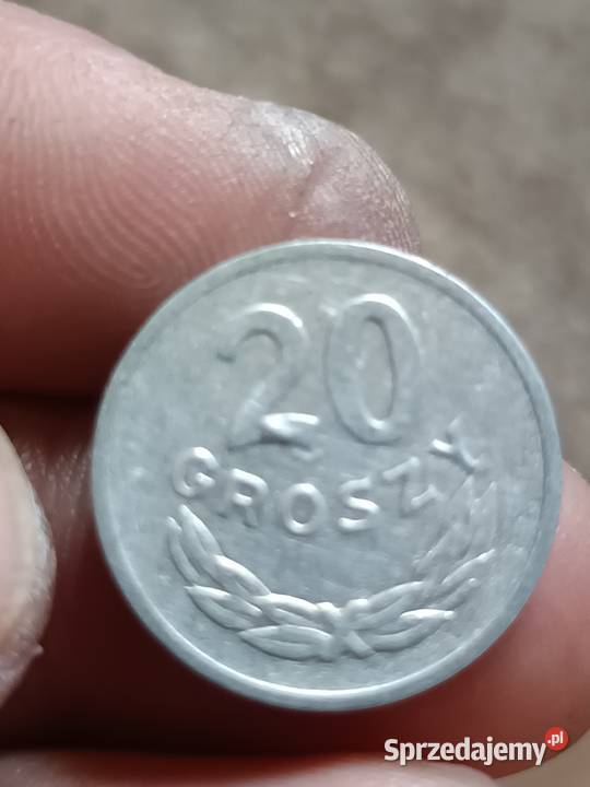 Sprzedam 20 gr 1949 r nalewka na 2 mala skretka Chełm sprzedam