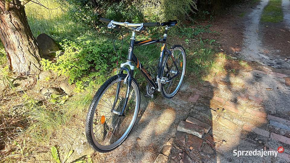 Alu Rower Miejski Męski Cross Giant XRoad 3x8 Miejskie Wołów