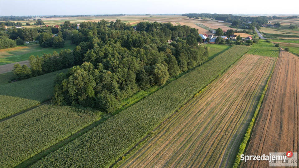 Działka 14235m2 Zawadka