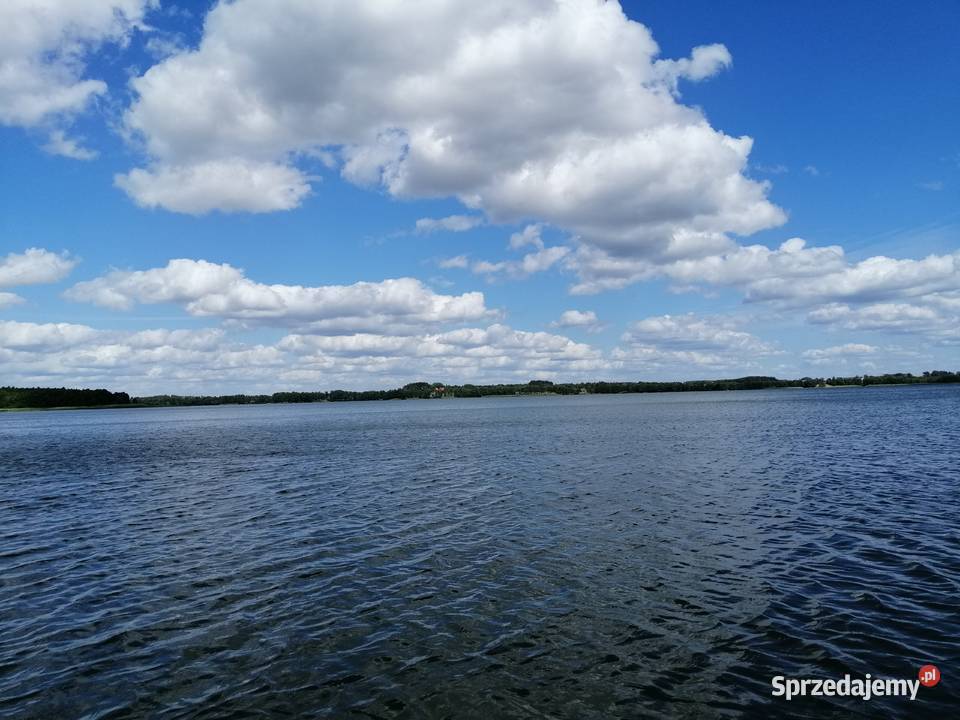 Domek Poziomka jezioremSasek Wielki nocleg Domy Sasek