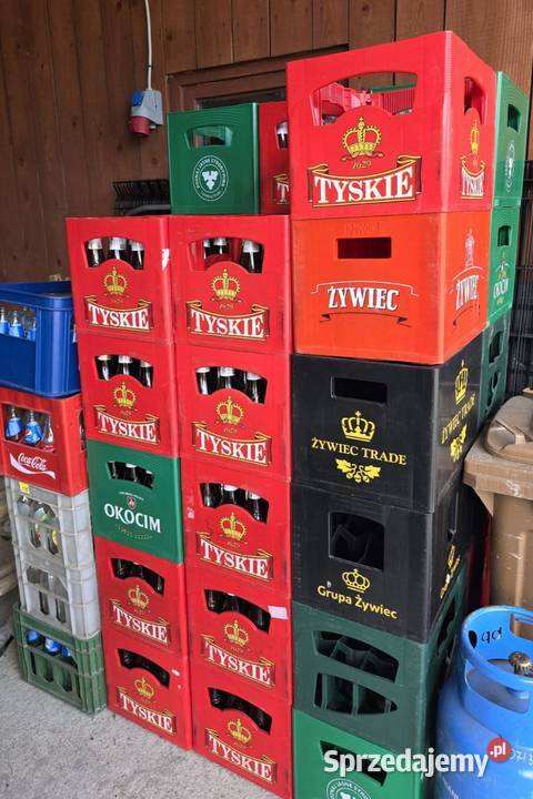 Transporter Pozostałe Hałuszowa