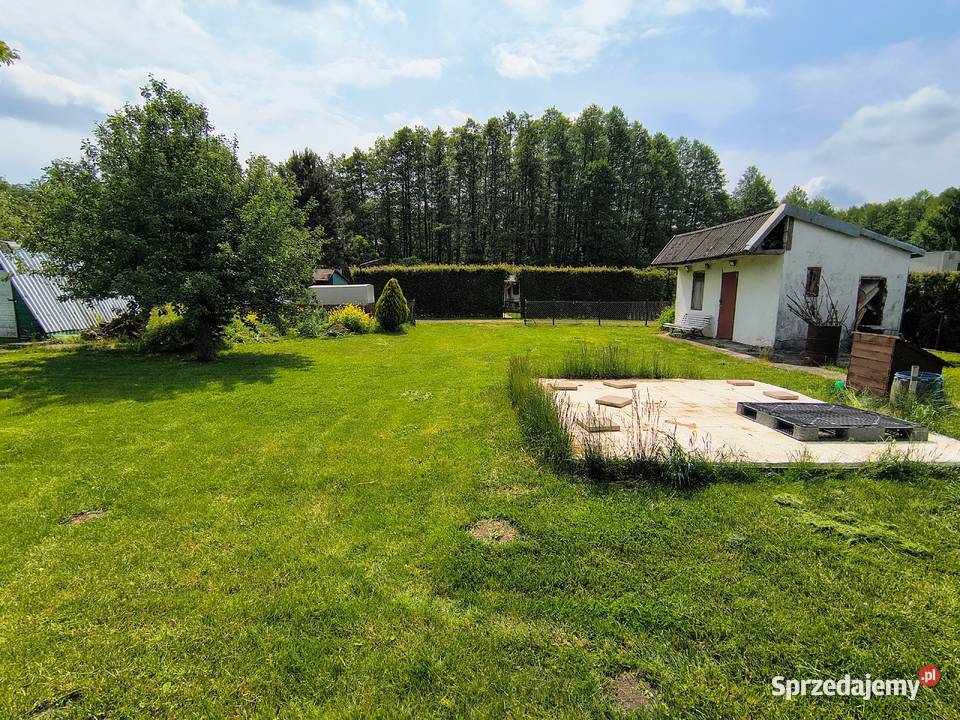 Działka ROD Zagroda 300m2 300m2 kujawsko-pomorskie