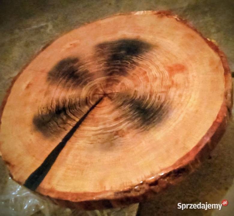 Stolik kawowy z plastra dębu