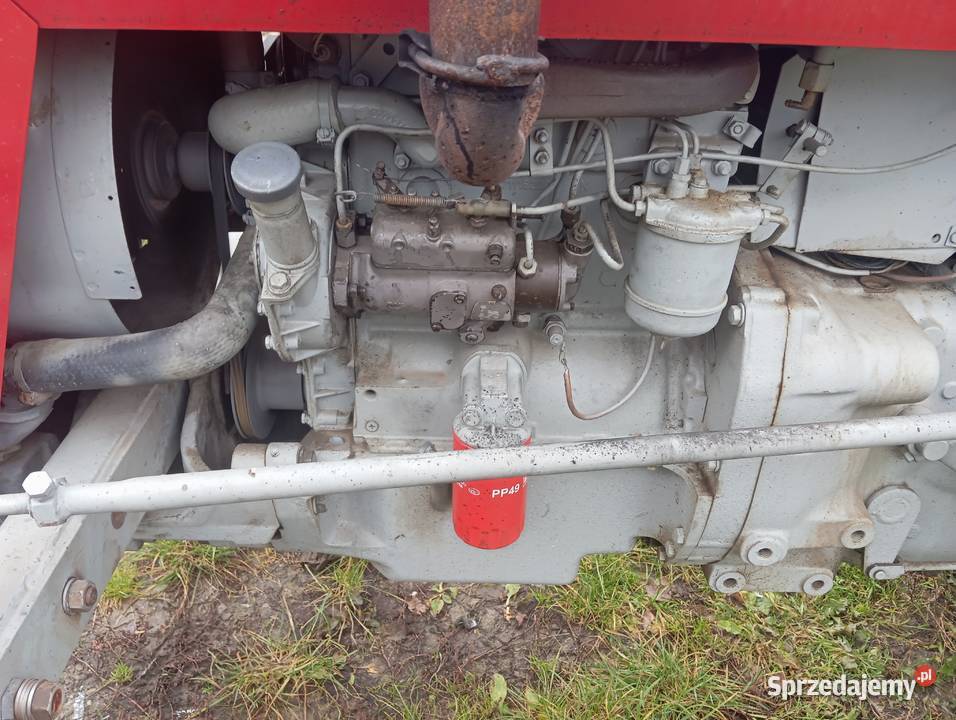Massey Ferguson 255 małopolskie