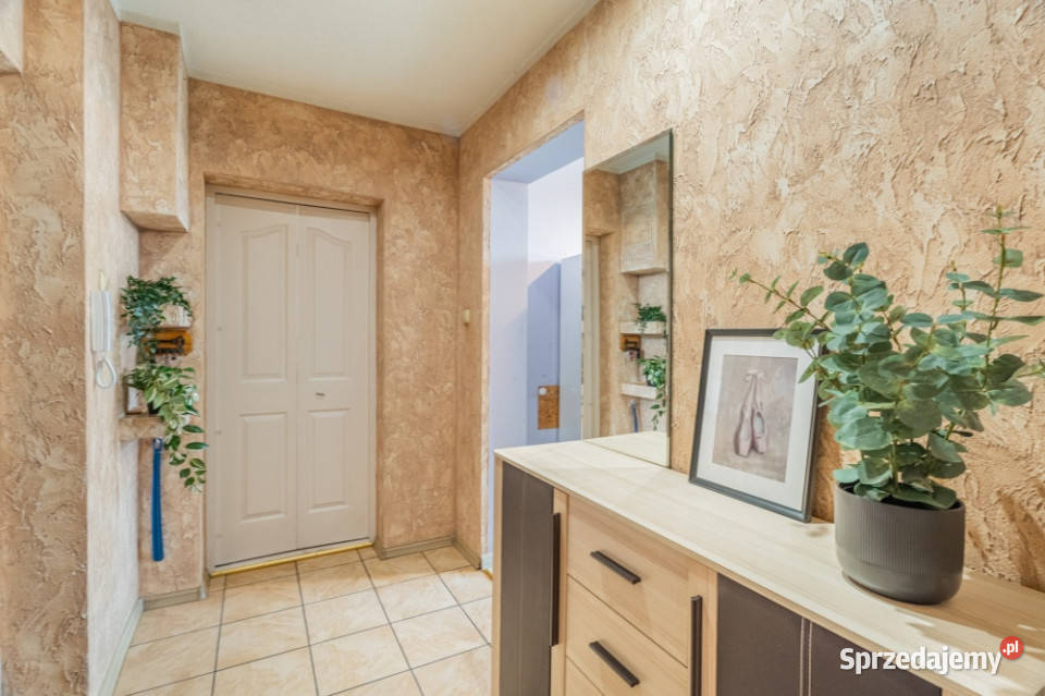 2 pokoje 50 m2 w Centrum obok Kościuszki Szczecin