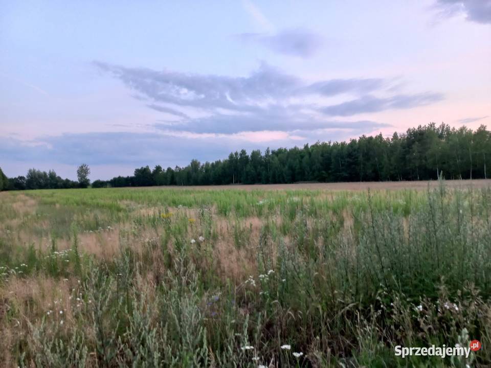 Działka budowlana drodze asfaltowej sprzedam