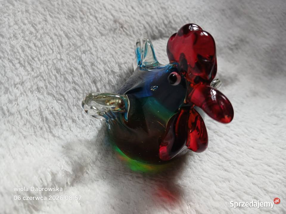 Kogut Murano