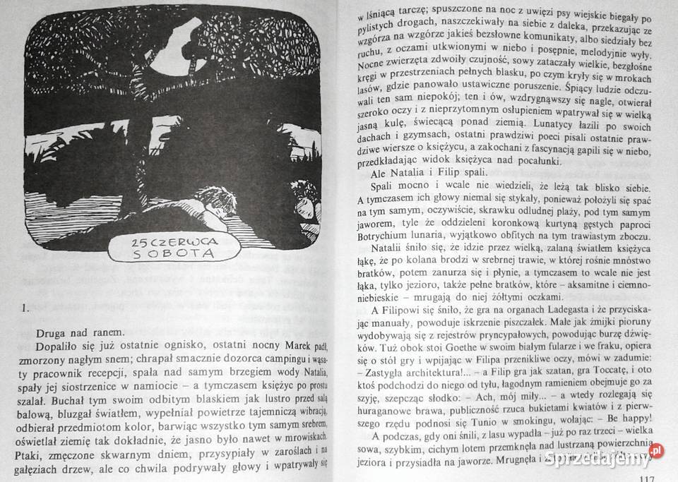Nutria i Nerwus Małgorzata Musierowicz Rok wydania 1996 Chełm