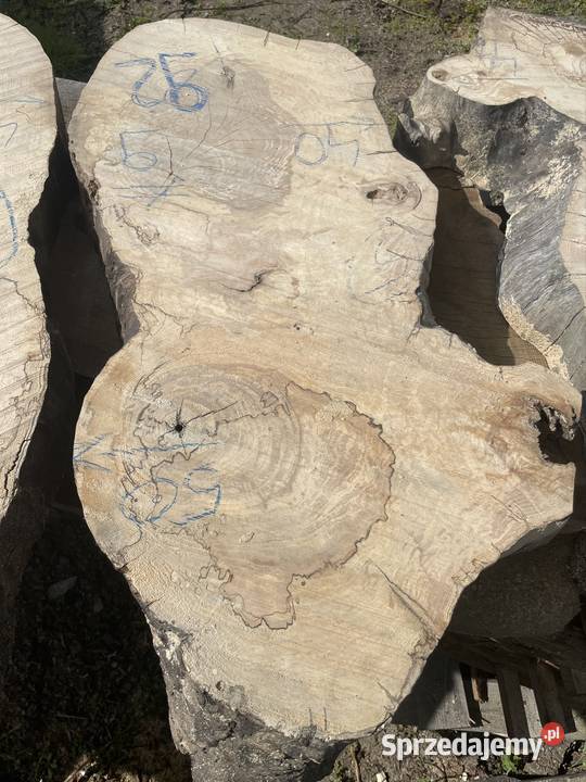 Plaster jesion orzech stolik kawowy live edge Przysucha