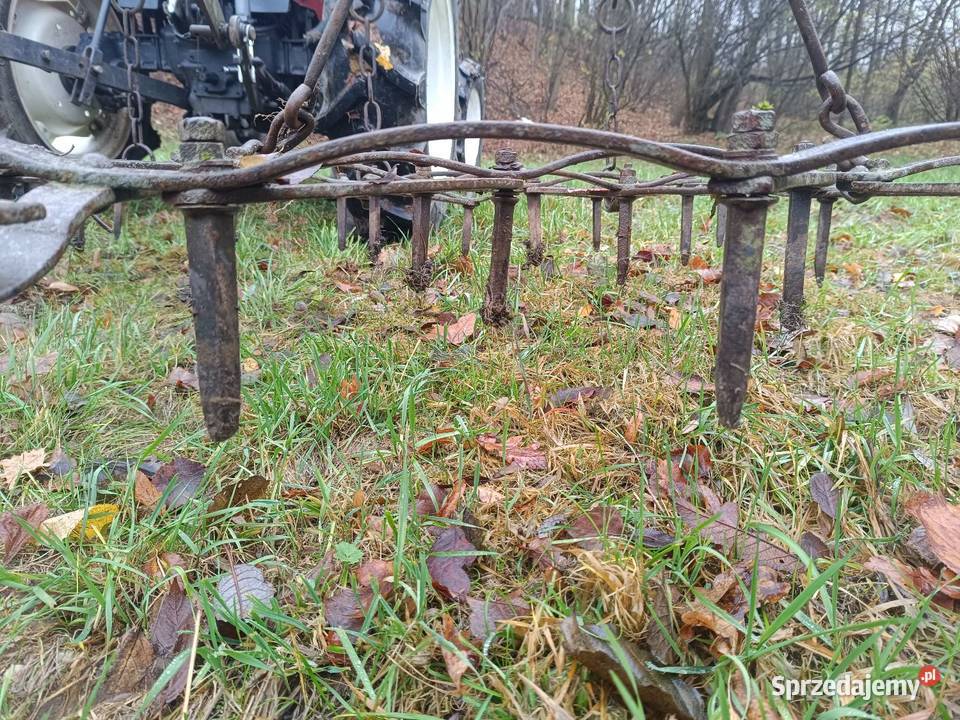 Brony 3 polowe Brony