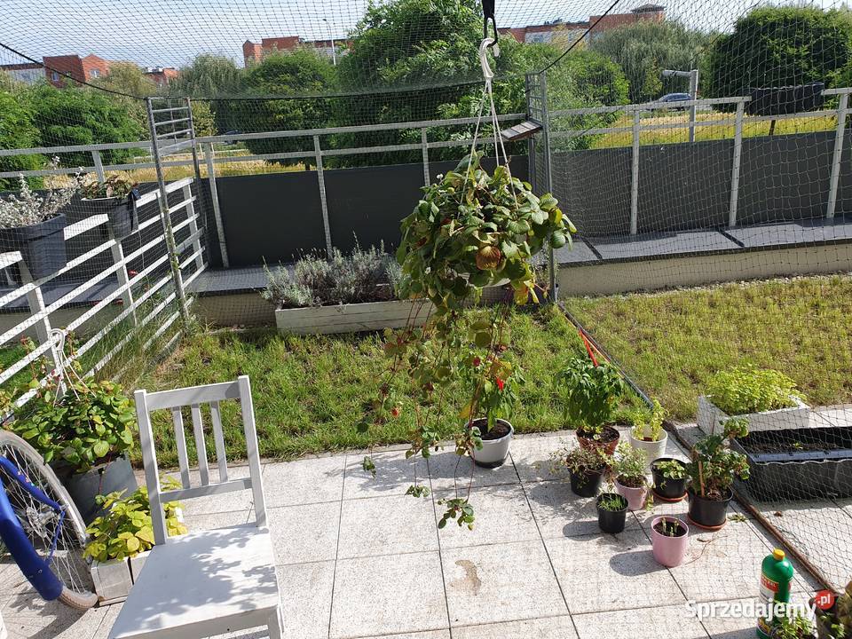 Siatkowanie balkonów zabezpieczanie balkonów usługi dla zwierząt