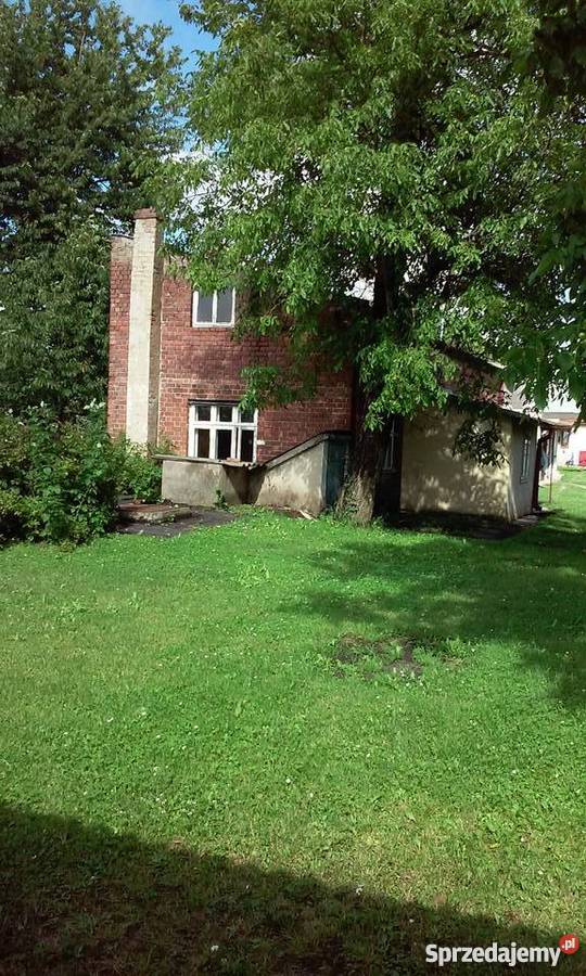 Tanio Dom w Izbicy z zabudowaniami Izbica sprzedam