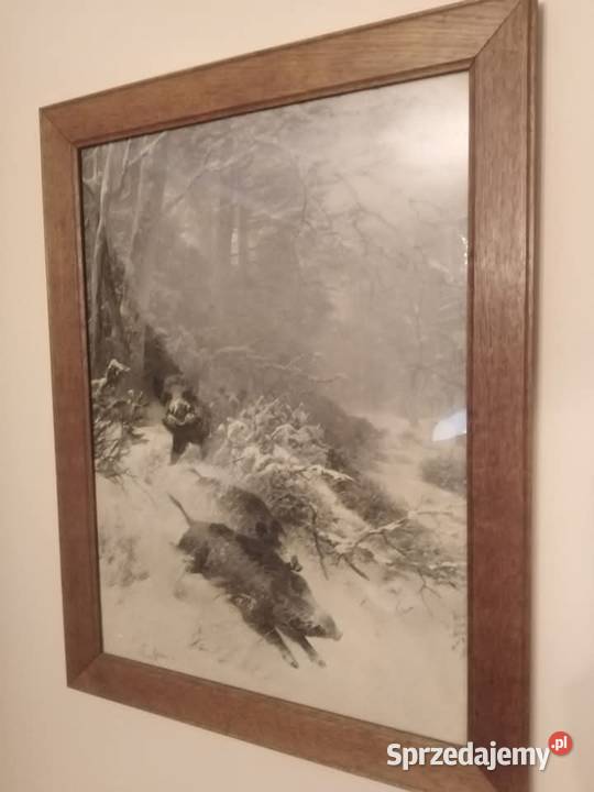 Obraz z Historią Gorbersdorf Dziki Wałbrzych