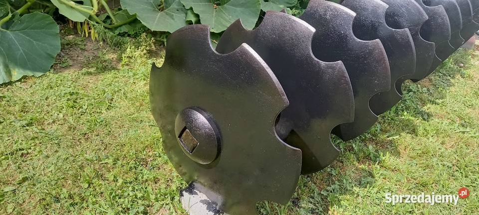 Wał talerzowy 25m Kazimierz Biskupi