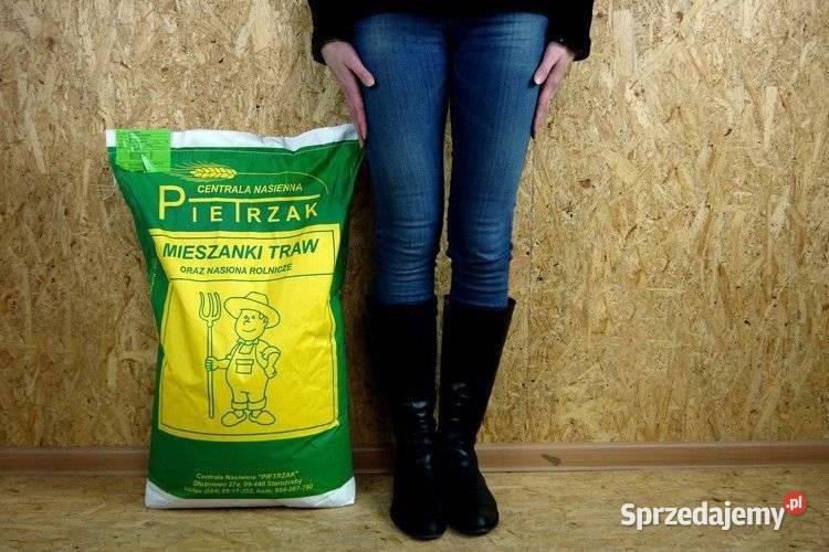 Trawa Mieszanka łąkowa kośno pastwiskowa Plus 10 mazowieckie Cieśle