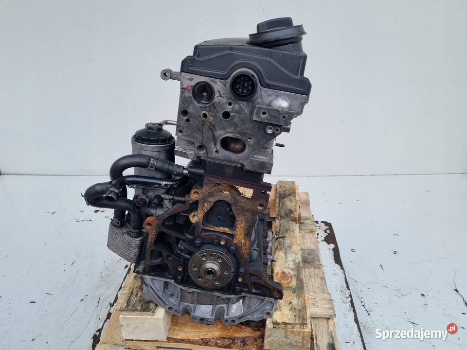 SILNIK PRZEGLĄDZIE Audi A6 C6 20 TDI 140 pali osobowe Rudka