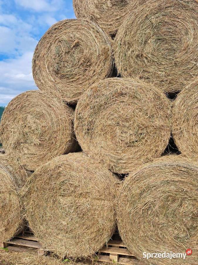Siano w balotach jakości Trawy, słoma Podwarpie