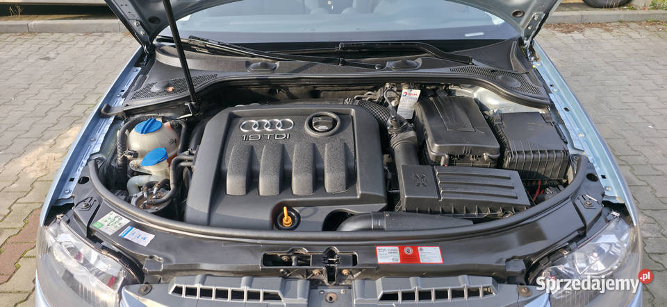 Sprzedam audi A3 105 19 TDI Kutno