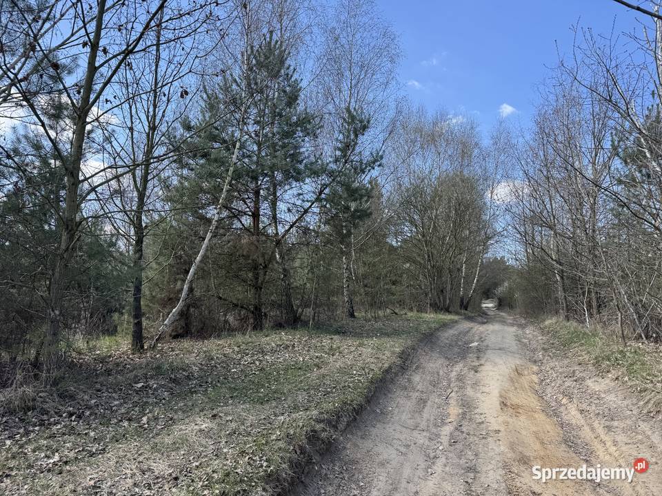 Na sprzedaż 3 działki budowlane z warunkami Sulęcin