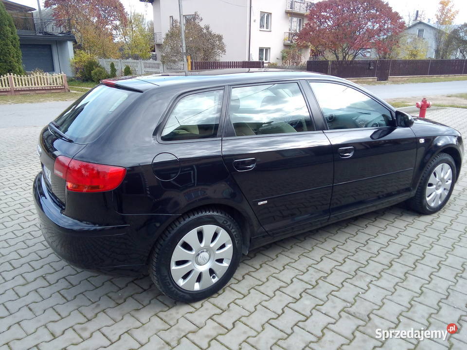 Audi A3 8P 19 TDI 105 Super Stan Zadbana ABS A3 Kielce