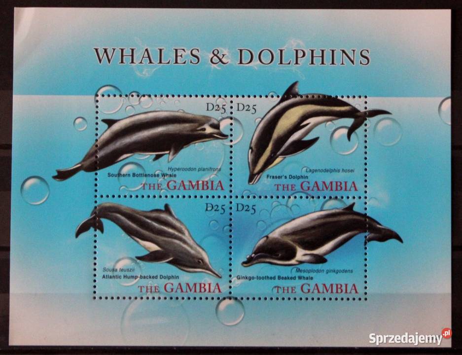 Gambia bloki Filatelistyka Filatelistyka Oborniki