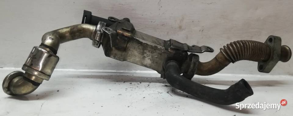 Chłodnica Spalin BMW 25 30D 224945604 Suchedniów