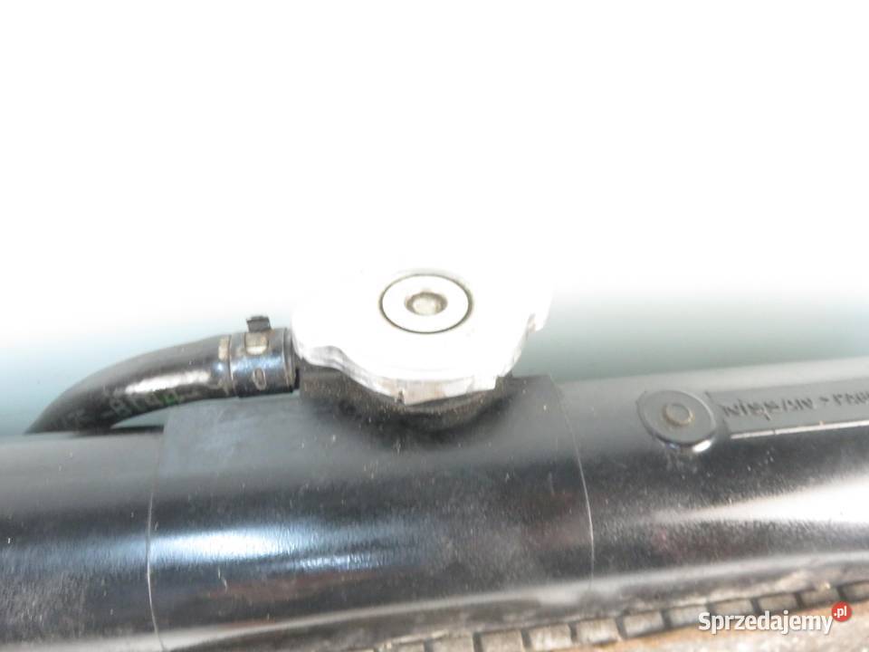 CHŁODNICA WODY PATHFINDER R51 40 21460EA265 małopolskie