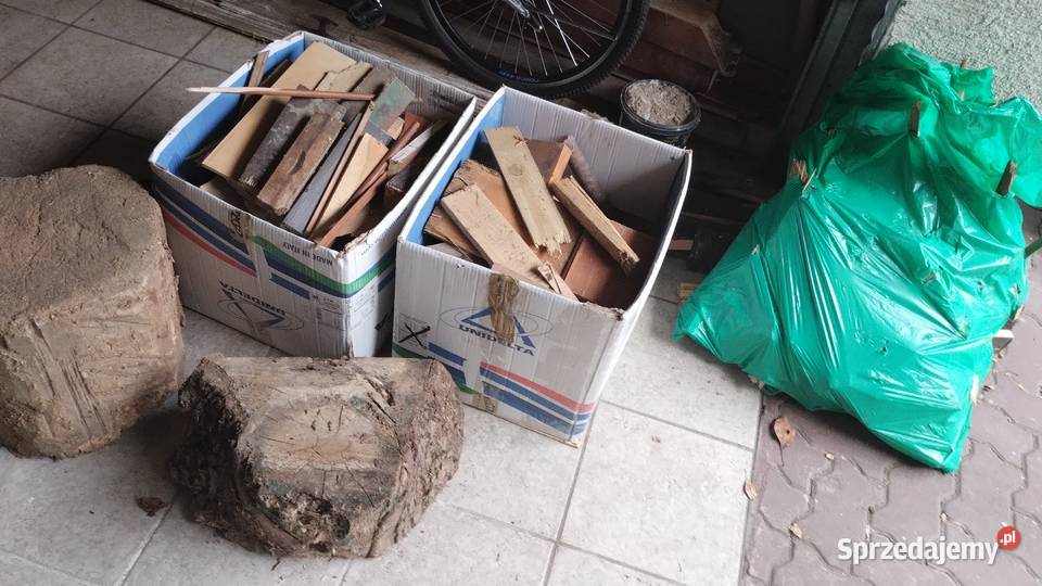 drewno opałowe kominkowe drzewo pienki Poznań