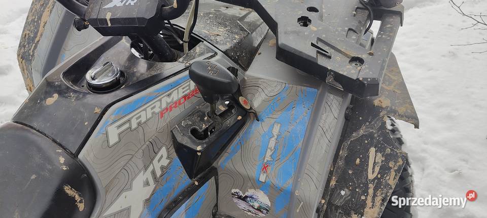 Quad Farmer Pro 250 XTR Rok produkcji 2024 Rybczewice Drugie