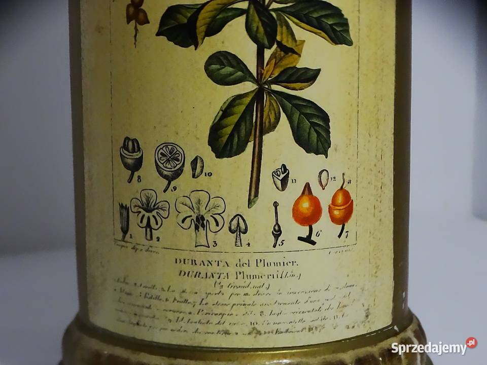 Zabytkowy pojemnik aptekarski z ilustracją sprzedam