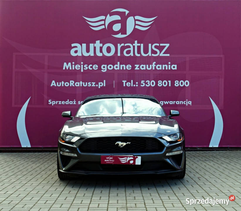Ford Mustang Prywatna 23 Benzyna 317 Świetny garażowany Mustang Warszawa sprzedam