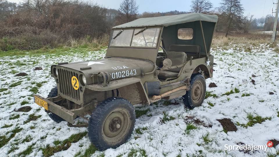 Willys MB Jeep zabytek Trzebiatów