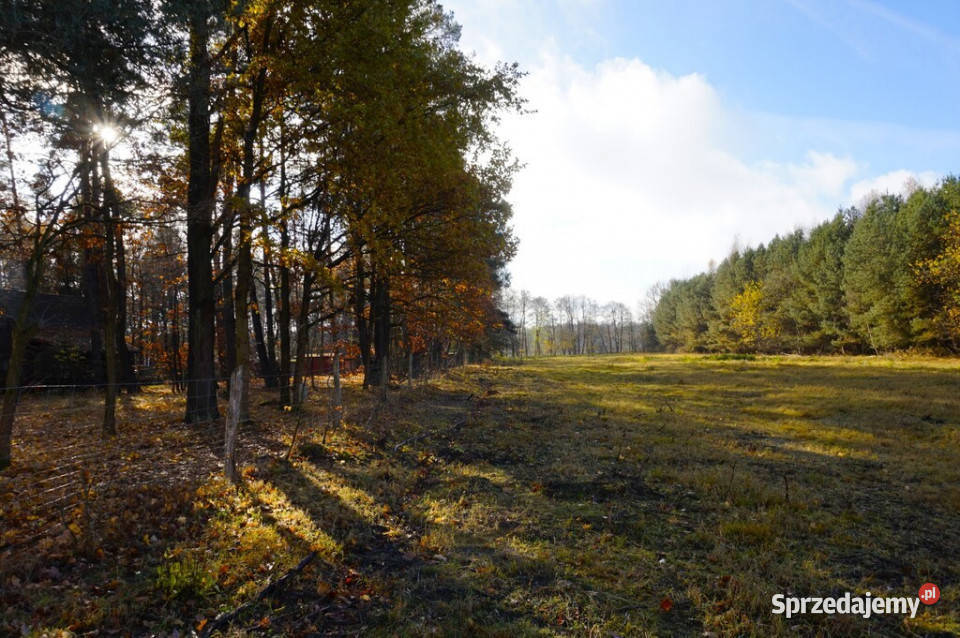 Działka z linią brzegową jeziora Ruś Mała
