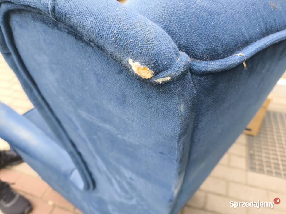 Fotel Uszak Warszawa