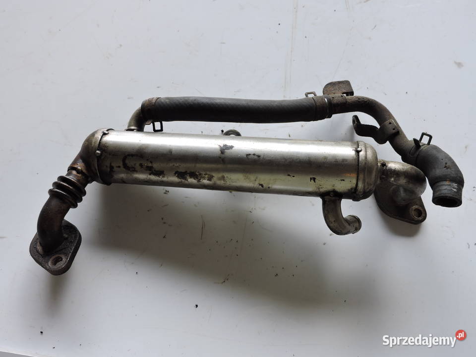 Chłodnica spalin Opel astra H 17 Diesel Myszków