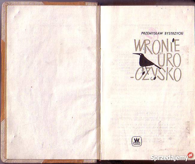 9536 WRONIE UROCZYSKO PRZEMYSŁAW BYSTRZYCKI Czyrna