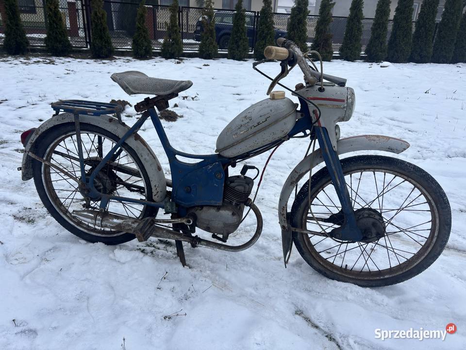 Komar Sztywniak oryginał Radomsko