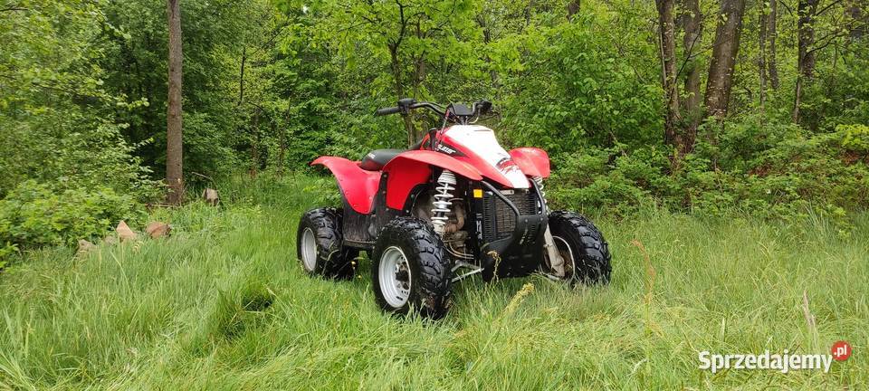 Polaris Trail Blazer 330 Szewce sprzedam