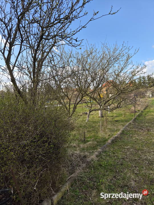 OGRÓDEK DZIAŁKOWY NA KLECINIE ROD PRZYJAŹŃ Wrocław