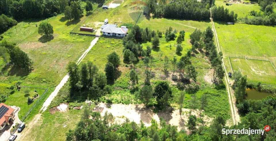 Działka budowlana 1712 1000 m Wincentówek sprzedam