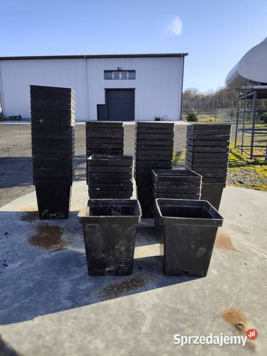 Doniczki do rozsad Doniczki do rozsad Dobrocice sprzedam